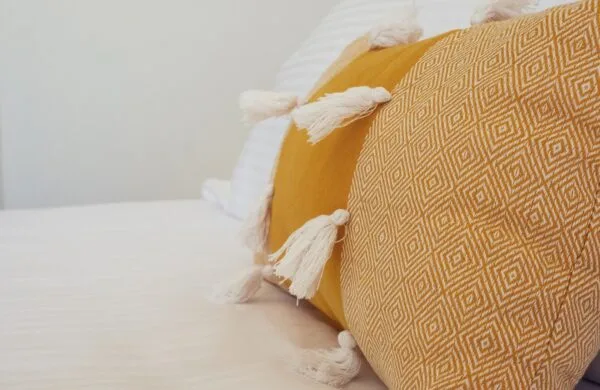 Economy Double pillows