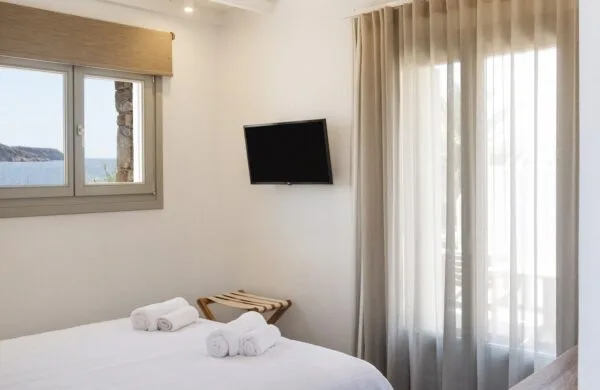 Deluxe Double with window