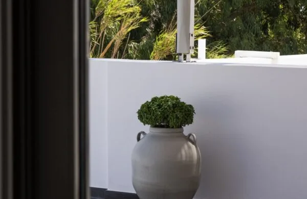 Deluxe Double plant in balcony