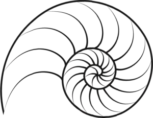 Favicon1
